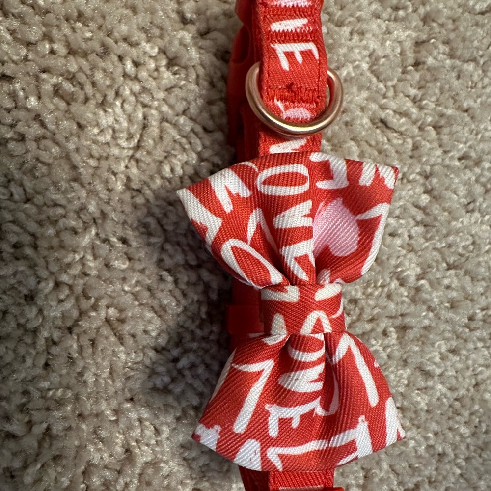 Petsmart Top Paw Valentines Day Dog Collar- Small